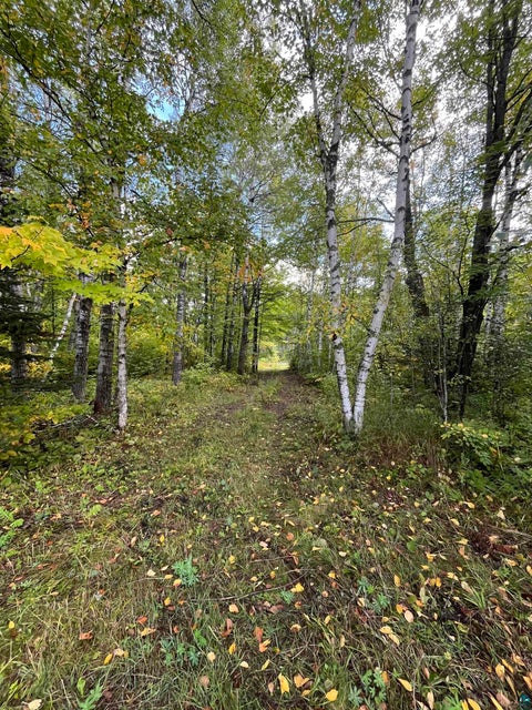 Tiny photo for 397 Lavaque Bypass, Hermantown, MN 55811 (MLS # 6128176)