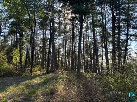 Tiny photo for 3506 Hanson Lake Rd, Ely, MN 55731 (MLS # 6125580)