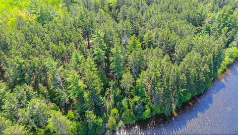 Photo of 3506 Hanson Lake Rd, Ely, MN 55731 (MLS # 6125580)