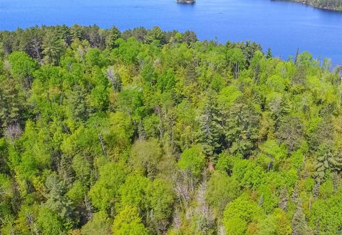 Tiny photo for 3506 Hanson Lake Rd, Ely, MN 55731 (MLS # 6125580)
