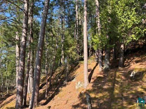 Tiny photo for 3506 Hanson Lake Rd, Ely, MN 55731 (MLS # 6125580)
