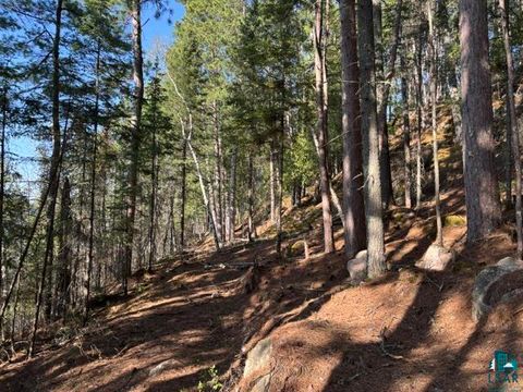 Tiny photo for 3506 Hanson Lake Rd, Ely, MN 55731 (MLS # 6125580)