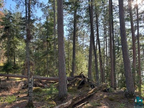 Tiny photo for 3506 Hanson Lake Rd, Ely, MN 55731 (MLS # 6125580)