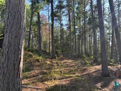 Tiny photo for 3506 Hanson Lake Rd, Ely, MN 55731 (MLS # 6125580)