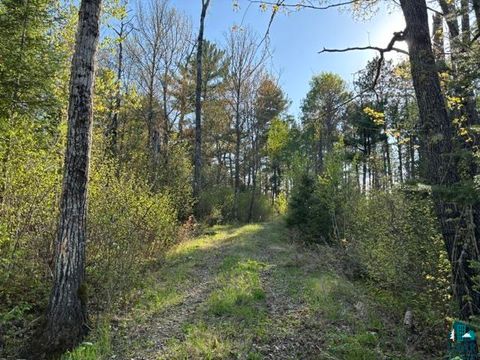 Tiny photo for 3506 Hanson Lake Rd, Ely, MN 55731 (MLS # 6125580)