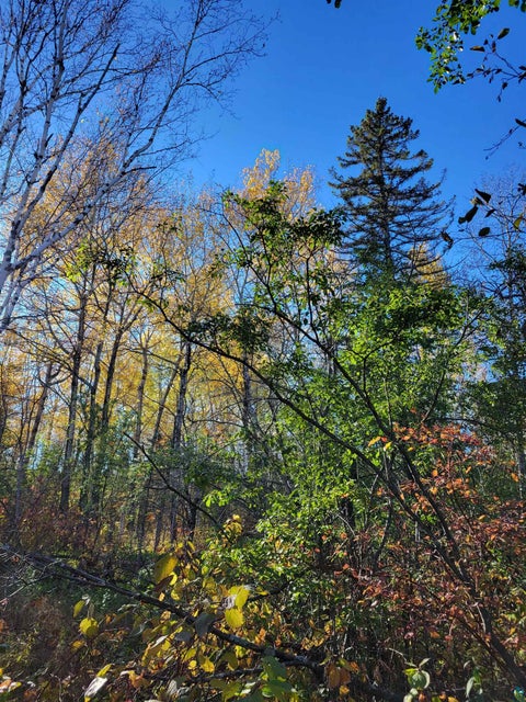 Tiny photo for 72 E Superior St, Duluth, MN 55804 (MLS # 6127726)