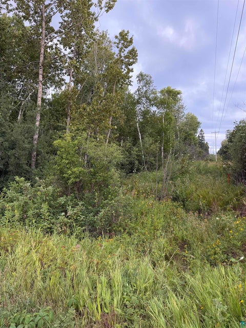 Tiny photo for 72 E Superior St, Duluth, MN 55804 (MLS # 6127726)