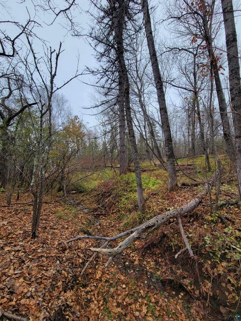 Tiny photo for 72 E Superior St, Duluth, MN 55804 (MLS # 6127726)