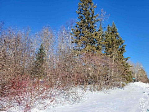 Tiny photo for 72 E Superior St, Duluth, MN 55804 (MLS # 6127726)