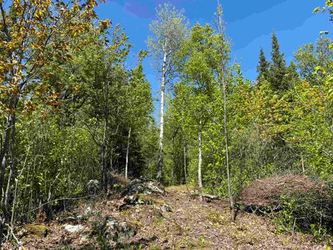 Tiny photo for 1 Fernberg Rd, Ely, MN 55731 (MLS # 6123037)