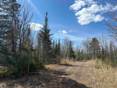 Tiny photo for 1 Fernberg Rd, Ely, MN 55731 (MLS # 6123037)