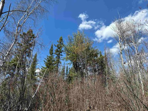 Tiny photo for 1 Fernberg Rd, Ely, MN 55731 (MLS # 6123037)