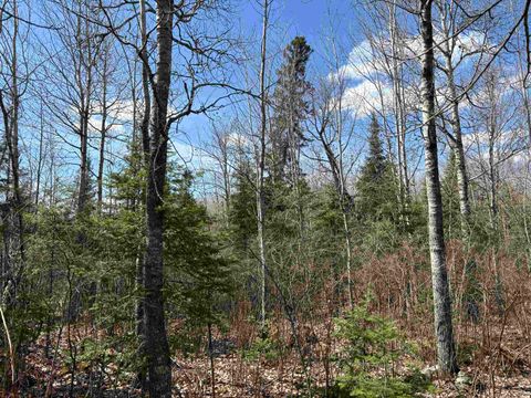 Tiny photo for 1 Fernberg Rd, Ely, MN 55731 (MLS # 6123037)