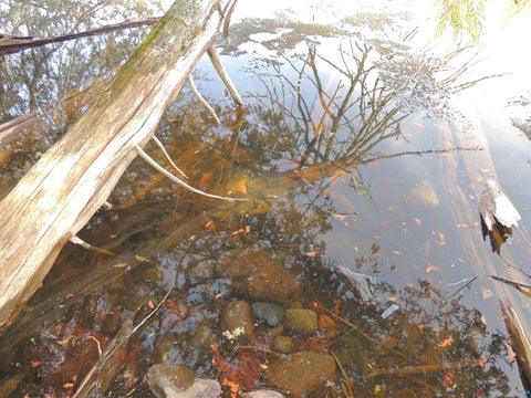 Tiny photo for 210 E Deeryard Lake Rd, Lutsen, MN 55612 (MLS # 6125798)