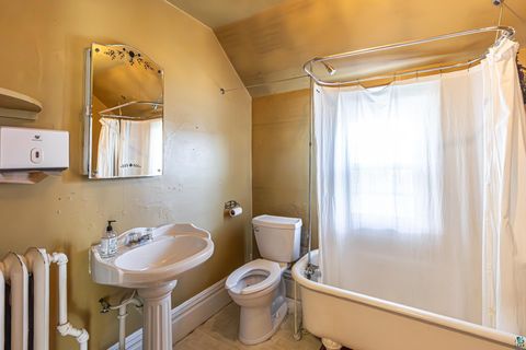 Tiny photo for 229 E Sheridan St, Ely, MN 55731 (MLS # 6124180)