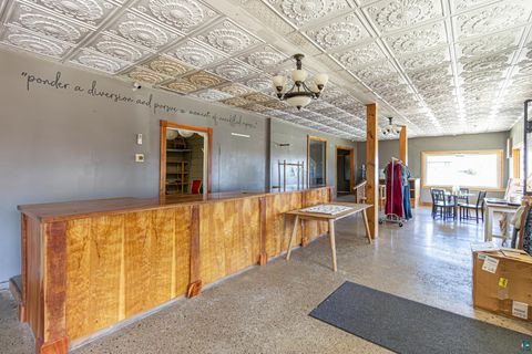 Tiny photo for 229 E Sheridan St, Ely, MN 55731 (MLS # 6124180)