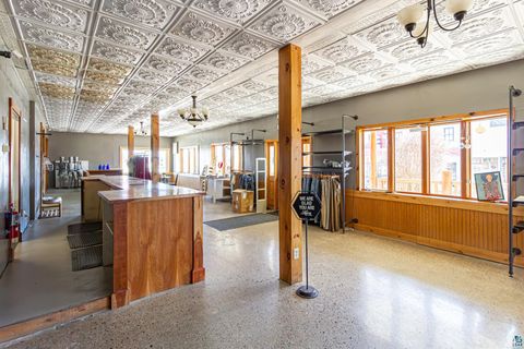 Tiny photo for 229 E Sheridan St, Ely, MN 55731 (MLS # 6124180)