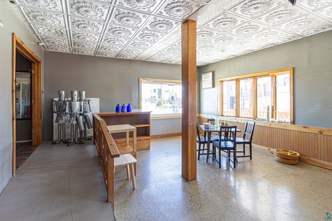 Tiny photo for 229 E Sheridan St, Ely, MN 55731 (MLS # 6124180)