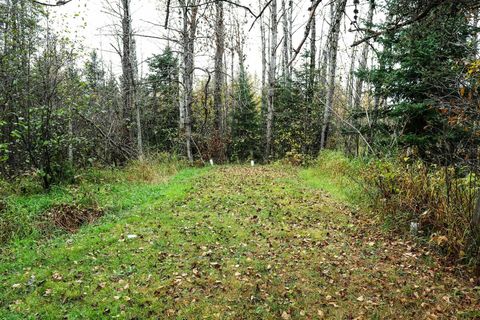 Tiny photo for 7839 Stromberg Rd, Embarrass, MN 55732 (MLS # 6122692)