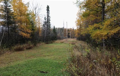 Tiny photo for 7839 Stromberg Rd, Embarrass, MN 55732 (MLS # 6122692)
