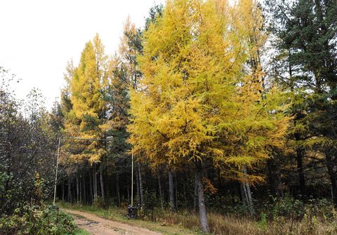 Tiny photo for 7839 Stromberg Rd, Embarrass, MN 55732 (MLS # 6122692)