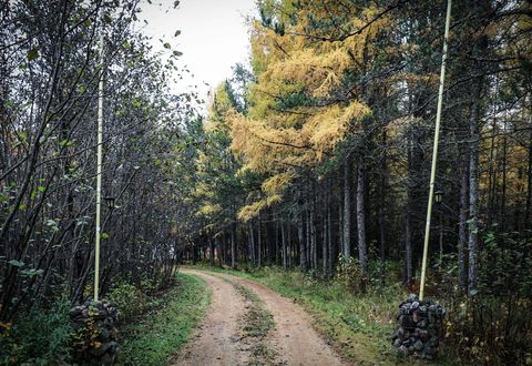 Photo of 7839 Stromberg Rd, Embarrass, MN 55732 (MLS # 6122692) Photo of 7839 Stromberg Rd, Embarrass, MN 55732 (MLS # 6122692)