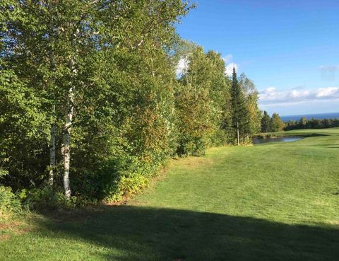 Photo of XXX Big Cedar Trl, Lutsen, MN 55612 (MLS # 6123751)