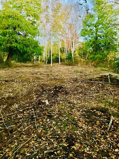 Tiny photo for XXX Big Cedar Trl, Lutsen, MN 55612 (MLS # 6123751)