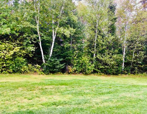 Tiny photo for XXX Big Cedar Trl, Lutsen, MN 55612 (MLS # 6123751)