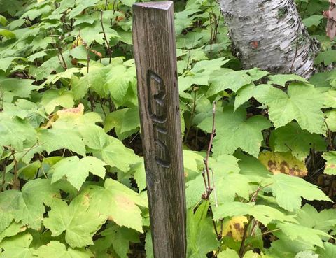 Tiny photo for XXX Big Cedar Trl, Lutsen, MN 55612 (MLS # 6123751)