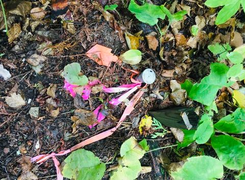 Tiny photo for XXX Big Cedar Trl, Lutsen, MN 55612 (MLS # 6123751)