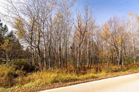 Tiny photo for 1 Getchell Rd, Hermantown, MN 55811 (MLS # 6118787)