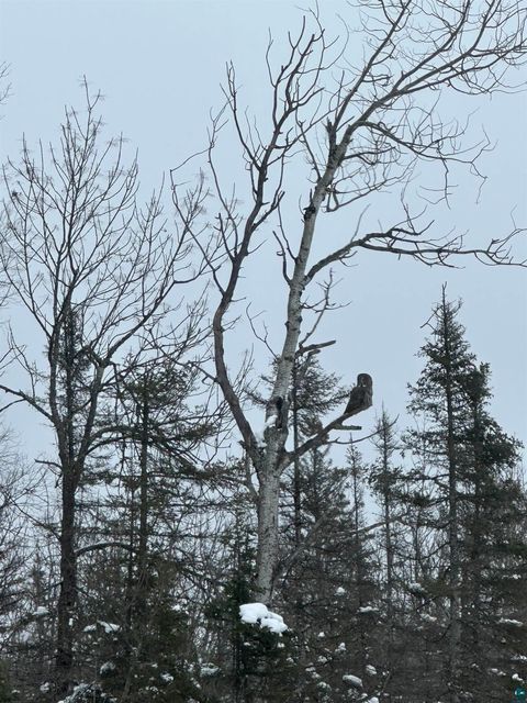 Tiny photo for 5274 Marble Lake Rd, Two Harbors, MN 55616 (MLS # 6125666)