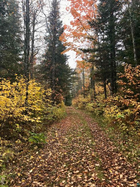 Tiny photo for 5274 Marble Lake Rd, Two Harbors, MN 55616 (MLS # 6125666)