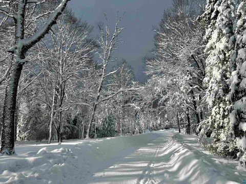 Tiny photo for 5274 Marble Lake Rd, Two Harbors, MN 55616 (MLS # 6125666)