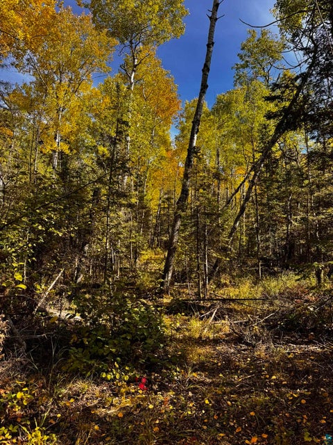 Tiny photo for 2298 Hwy 3, Two Harbors, MN 55616 (MLS # 6128335)