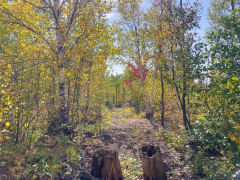 Tiny photo for 52 Ramsdell Heights, Silver Bay, MN 55614 (MLS # 6128411)