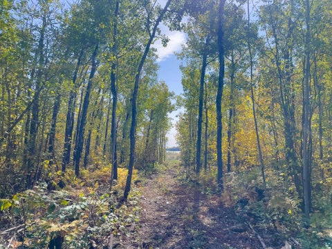 Tiny photo for 52 Ramsdell Heights, Silver Bay, MN 55614 (MLS # 6128411)