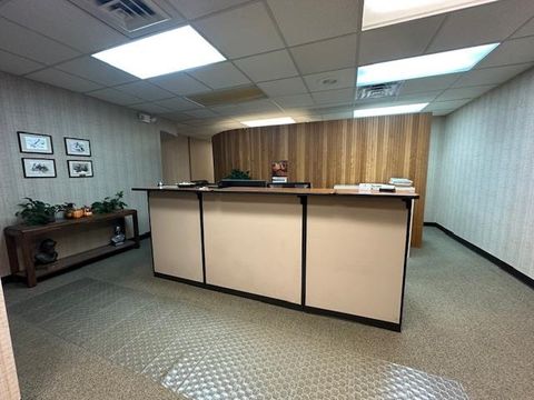 Tiny photo for 301 Chestnut St, Virginia, MN 55792 (MLS # 6122935)