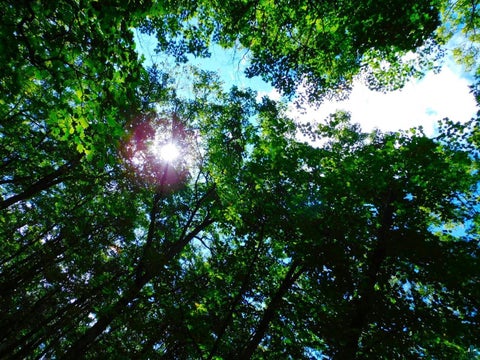 Tiny photo for XXXX Whitetail Ridge Rd, Iron River, WI 54847 (MLS # 6128090)