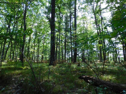 Tiny photo for XXXX Whitetail Ridge Rd, Iron River, WI 54847 (MLS # 6128090)