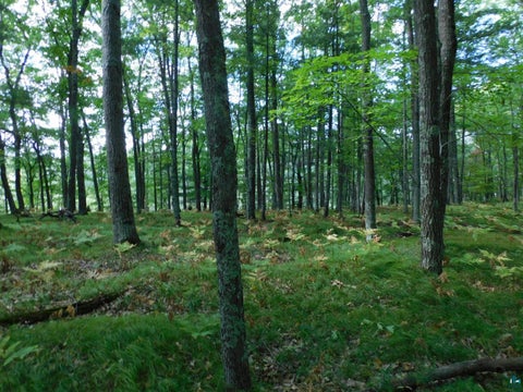 Tiny photo for XXXX Whitetail Ridge Rd, Iron River, WI 54847 (MLS # 6128090)