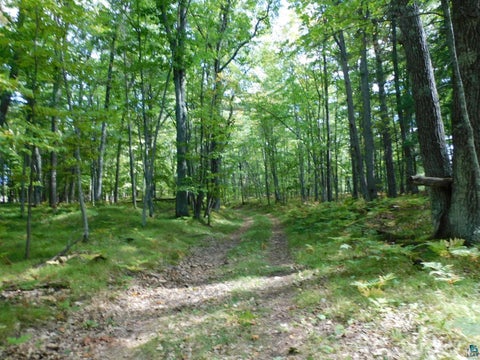 Tiny photo for XXXX Whitetail Ridge Rd, Iron River, WI 54847 (MLS # 6128090)