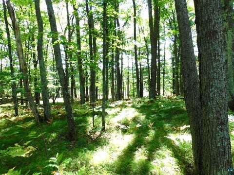 Tiny photo for XXXX Whitetail Ridge Rd, Iron River, WI 54847 (MLS # 6128090)