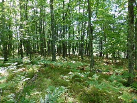 Tiny photo for XXXX Whitetail Ridge Rd, Iron River, WI 54847 (MLS # 6128090)