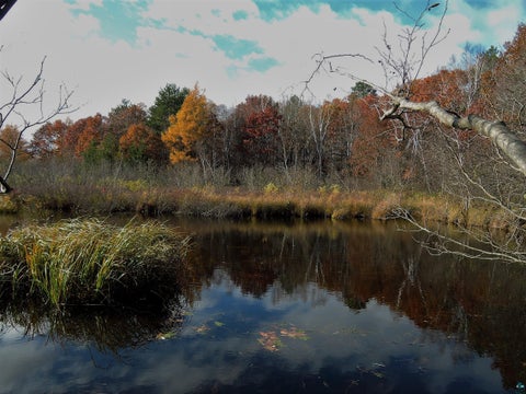 Tiny photo for XXXX Whitetail Ridge Rd, Iron River, WI 54847 (MLS # 6128090)