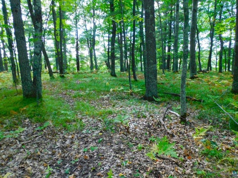 Tiny photo for XXXX Whitetail Ridge Rd, Iron River, WI 54847 (MLS # 6128090)