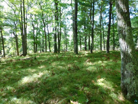 Tiny photo for XXXX Whitetail Ridge Rd, Iron River, WI 54847 (MLS # 6128090)
