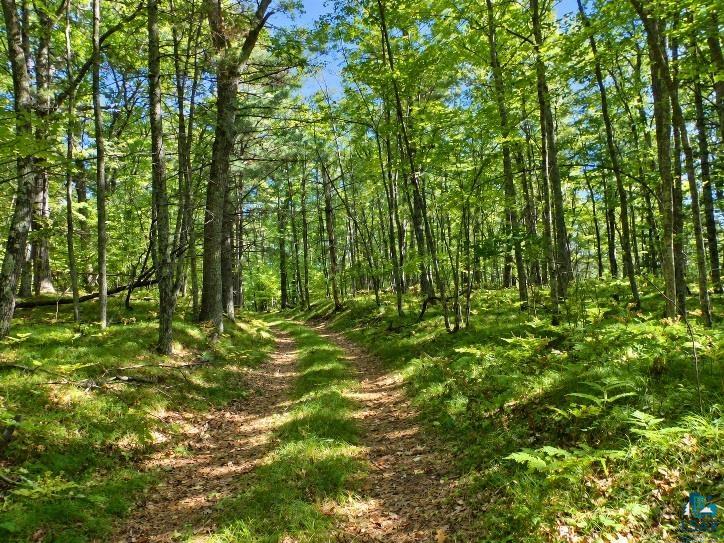 XXXX Whitetail Ridge Rd