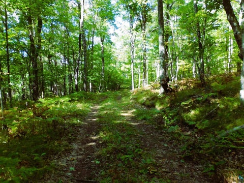 Tiny photo for XXXX Whitetail Ridge Rd, Iron River, WI 54847 (MLS # 6128090)